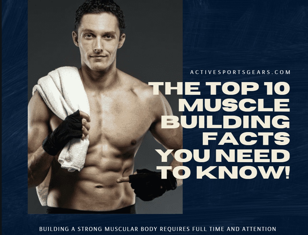 Muscle Building Exercise