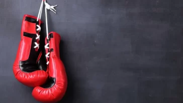 Best Boxing Gloves for Training: Expert Buying Tips