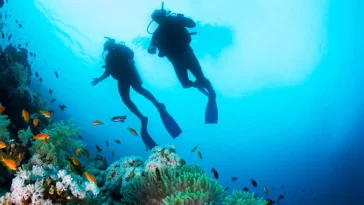 Cozumel Scuba Diving: Best Beginner Ocean Adventure Guide